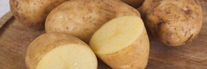 dutchcreams-5277714