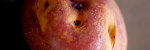 pinkeye-8621929