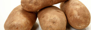 russet-burbank-2986669