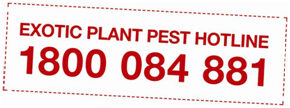 pesthotline-8010796